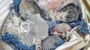 Angel Aura Crackle Quart Crystal & Artificial Moss in Seashell