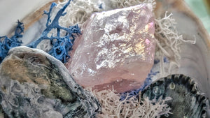Angel Aura Crackle Quart Crystal & Artificial Moss in Seashell