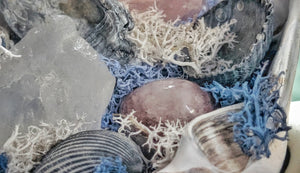 Angel Aura Crackle Quart Crystal & Artificial Moss in Seashell