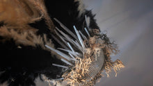 Load image into Gallery viewer, Wall Mount Pampas Grass Arrangement w/Selenite Crystal Shards
