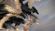 Wall Mount Pampas Grass Arrangement w/Selenite Crystal Shards