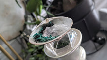 Load image into Gallery viewer, Amethyst Crystal w/Artificial Moss in Seashell
