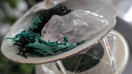 Amethyst Crystal w/Artificial Moss in Seashell
