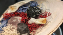 Load image into Gallery viewer, Crystals Bundle in Moss Seashell
