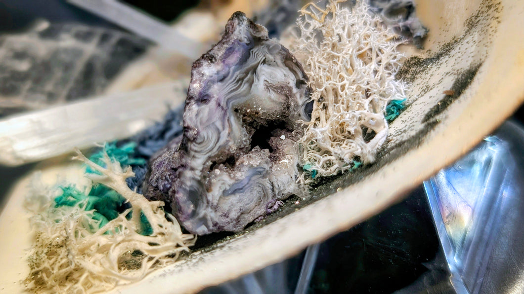 Selenite, Angel Aura & Druzy Occo Geode Agate Crystals in Moss Seashell