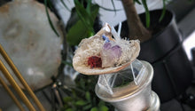 Load image into Gallery viewer, Selenite &amp; Amethyst Crystals in Moss Seashell
