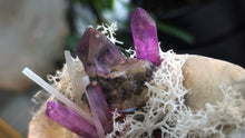 Load image into Gallery viewer, Angel Aura Quartz, Selenite &amp; Amethyst Crystals in Moss Seashell
