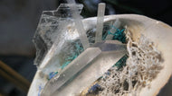 Lemurian Quartz Celestite Crystals in Moss Seashell