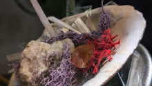 Load image into Gallery viewer, Selenite &amp; Amethyst Crystals in Moss Seashell
