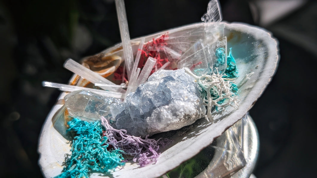 Celestite Crystal Bundle in Moss Seashell