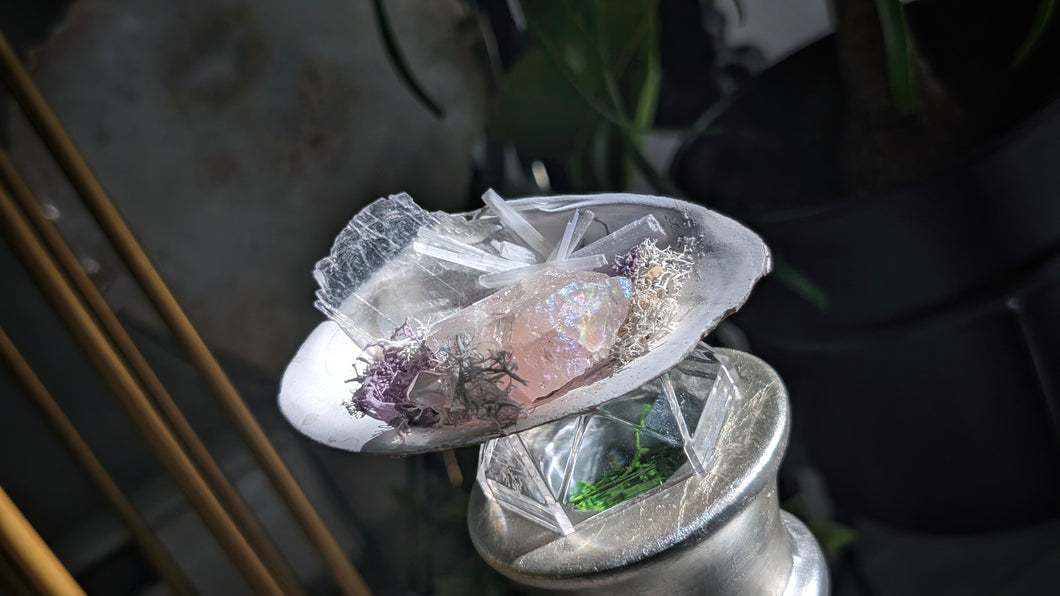 Angel Aura Quartz & Selenite Crystal & Artificial Moss in Seashell