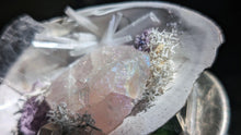 Load image into Gallery viewer, Angel Aura Quartz &amp; Selenite Crystal &amp; Artificial Moss in Seashell
