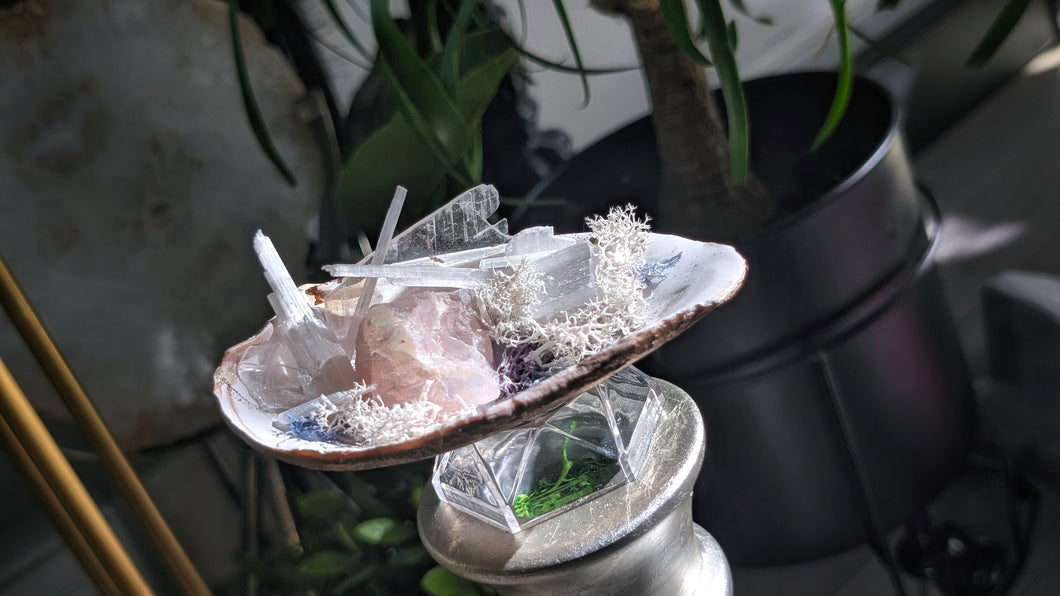 Angel Aura Quartz & Selenite Crystal & Artificial Moss in Seashell