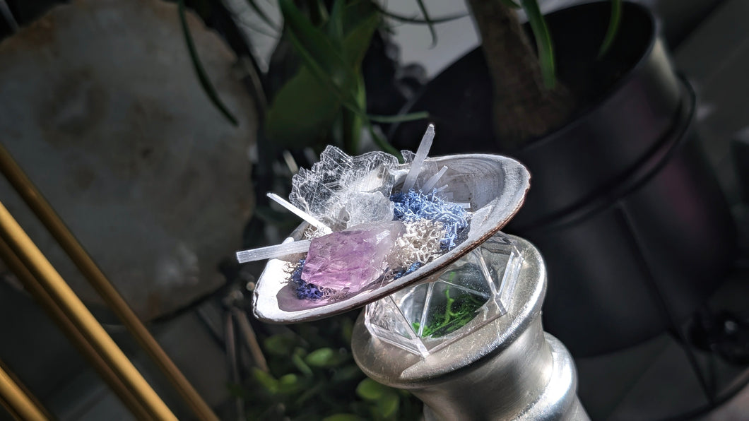 Selenite & Amethyst Crystals in Moss Seashell
