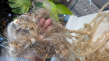 Load image into Gallery viewer, Natural Tan Dread Lock Hair Bun (wig not included)
