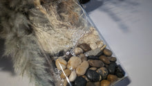 Load image into Gallery viewer, Wall Mount Glass Vase w/Rocks &amp; Pampas Grass Arrangement
