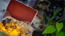 Load image into Gallery viewer, #2 Selenite Crystal Led Jar Lights (10pc)
