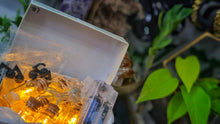 Load image into Gallery viewer, #7 Himalayan Salt &amp; Selenite Crystal Led Jar Lights (10pc)
