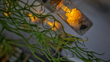 Load image into Gallery viewer, #13 Himalayan Salt &amp; Black Coal Led Jar Lights (10pc)
