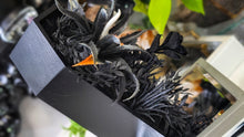 Load image into Gallery viewer, 7" Gothic Coffin Artificial Floral Decor
