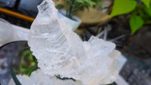 Load image into Gallery viewer, 5" Rare Fishtail Selenite Crystal Slab
