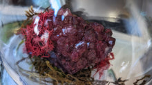 Load image into Gallery viewer, Plastic Moss Dome w/ Dyed Red Amethyst
