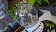 Plastic Moss Dome w/ Thunder Bay Amethyst