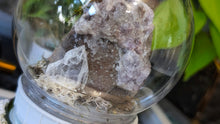 Load image into Gallery viewer, Plastic Moss Dome w/ Thunder Bay Amethyst
