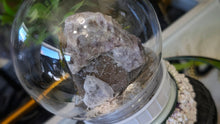 Load image into Gallery viewer, Plastic Moss Dome w/ Thunder Bay Amethyst
