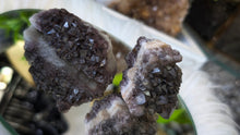 Load image into Gallery viewer, Thunder Bay Smokey Amethyst Crystal Clusters 2pcs
