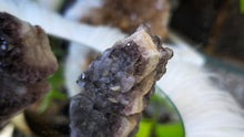 Load image into Gallery viewer, Thunder Bay Smokey Amethyst Crystal Clusters 2pcs
