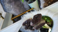 Thunder Bay Smokey Amethyst Crystal Clusters 2pcs
