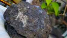 Load image into Gallery viewer, 6" Rare Large Galena &amp; Pyrite Quartz Specimen
