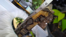 Load image into Gallery viewer, 6.5" Septarian Crystal Pillar Tower

