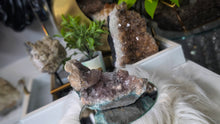 Load image into Gallery viewer, 4.5" Flower Amethyst Crystal Cluster
