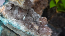 Load image into Gallery viewer, 4.5" Flower Amethyst Crystal Cluster
