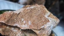 Load image into Gallery viewer, 4" Rare Vanadinite Crystal Cluster
