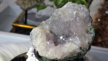 Load image into Gallery viewer, 3" Amethyst Crystal Geode

