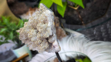 Load image into Gallery viewer, 6" Brazil Amethyst Cluster on Stand
