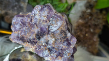 Load image into Gallery viewer, 3.5 Thunder Bay Amethyst Auralite23 Crystal
