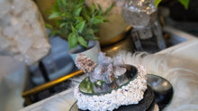 Load image into Gallery viewer, 2.5" Rare Arizona Fluorite Crystal Cluster

