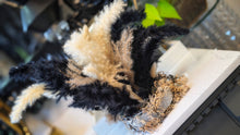 Load image into Gallery viewer, Wall Mount Pampas Grass Arrangement
