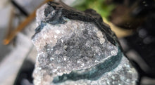 Load image into Gallery viewer, 2" Rare Amethyst Green Agate Crystal Cluster
