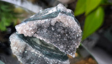 Load image into Gallery viewer, 2" Rare Amethyst Green Agate Crystal Cluster
