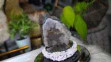 Load image into Gallery viewer, 3.5" Druzy Flower Amethyst Crystal Cluster
