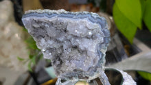Load image into Gallery viewer, 4.5" Flower Amethyst Druzy Crystal Cluster
