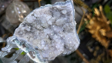 Load image into Gallery viewer, 4.5" Flower Amethyst Druzy Crystal Cluster
