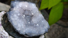 Load image into Gallery viewer, 3" Amethyst &amp; Blue Agate Crystal Cluster
