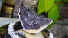 Load image into Gallery viewer, 3" Dyed Amethyst Crystal Cluster
