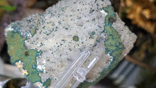 Load image into Gallery viewer, 4" Elestial Flower Amethyst Quartz Crystal Cluster
